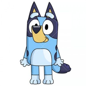 527